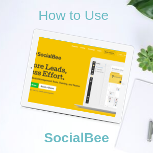 Setup and use SocialBee